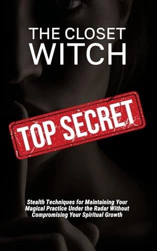 The Closet Witch cover